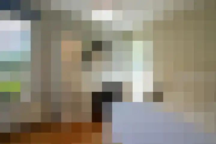 Aardaker 11 Gulpen thumbnail 17