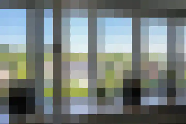 Aardaker 11 Gulpen thumbnail 24