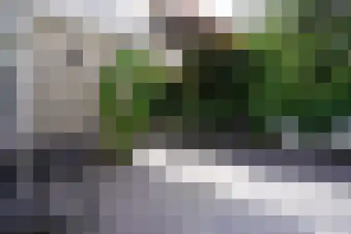 Aardaker 11 Gulpen thumbnail 29
