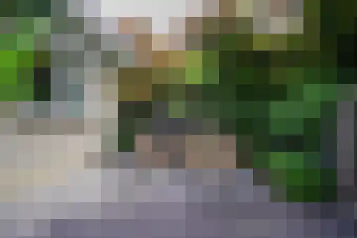 Aardaker 11 Gulpen thumbnail 30