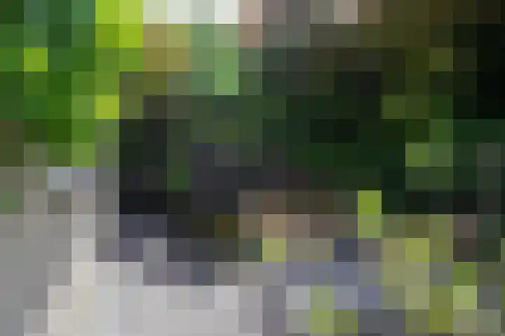Aardaker 11 Gulpen thumbnail 31