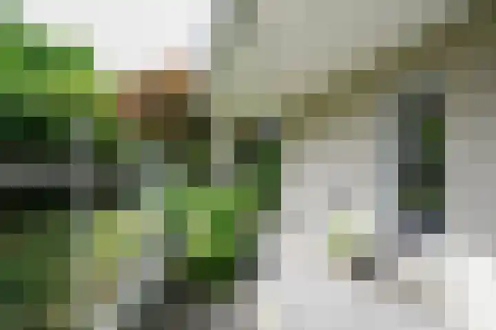 Aardaker 11 Gulpen thumbnail 35