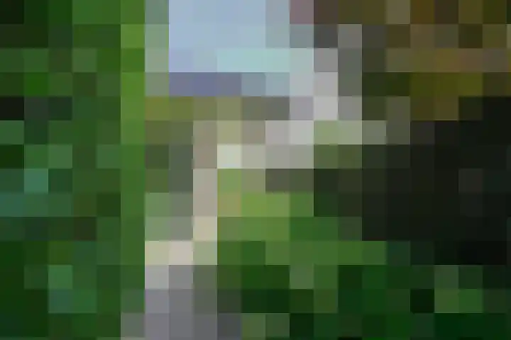Aardaker 11 Gulpen thumbnail 36