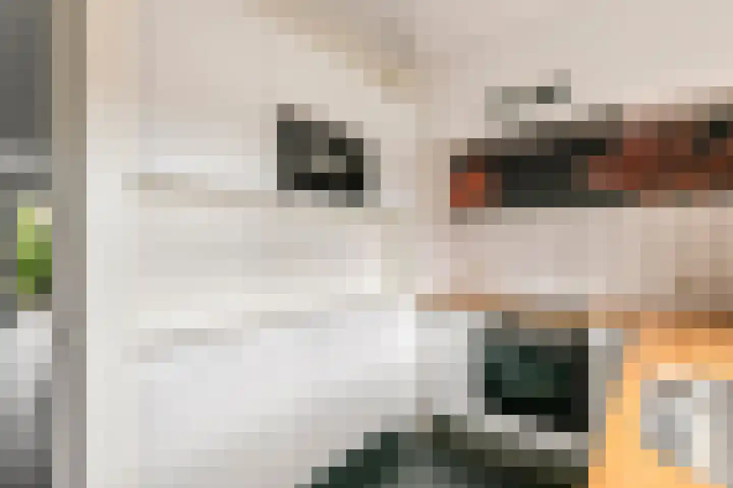 Aardaker 2 Tiel thumbnail 14