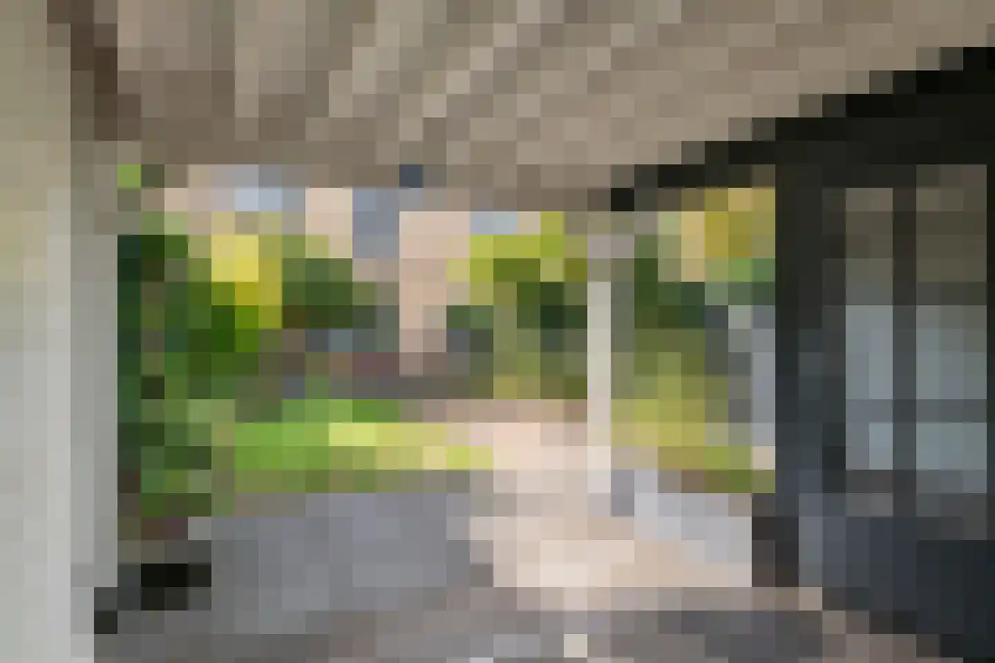 Aardaker 2 Tiel thumbnail 34