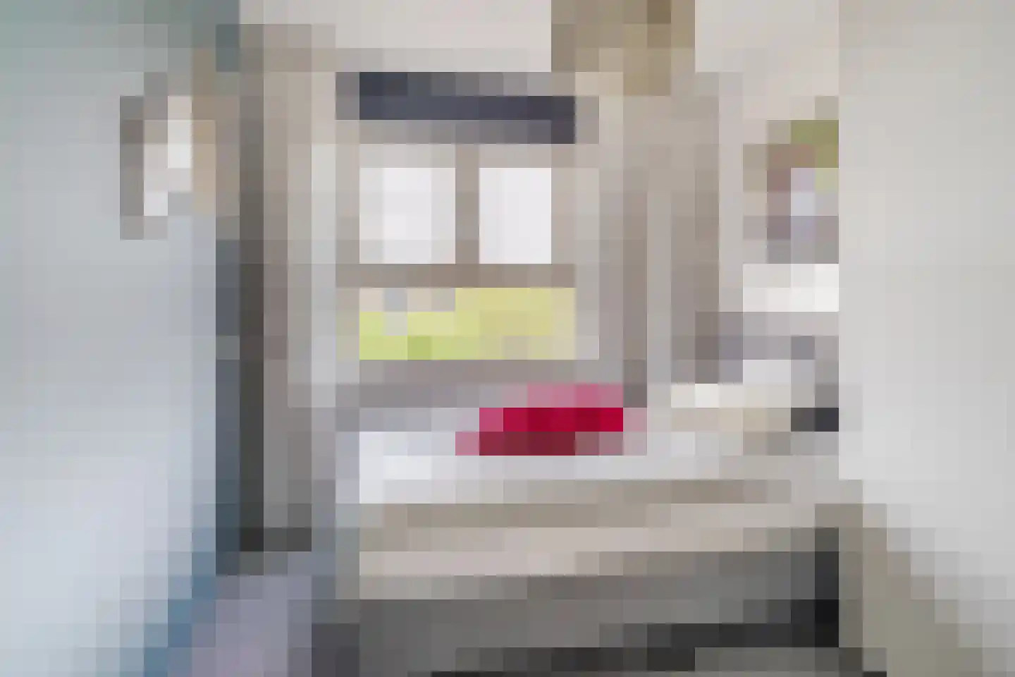 Aardaker 6 Tiel thumbnail 20