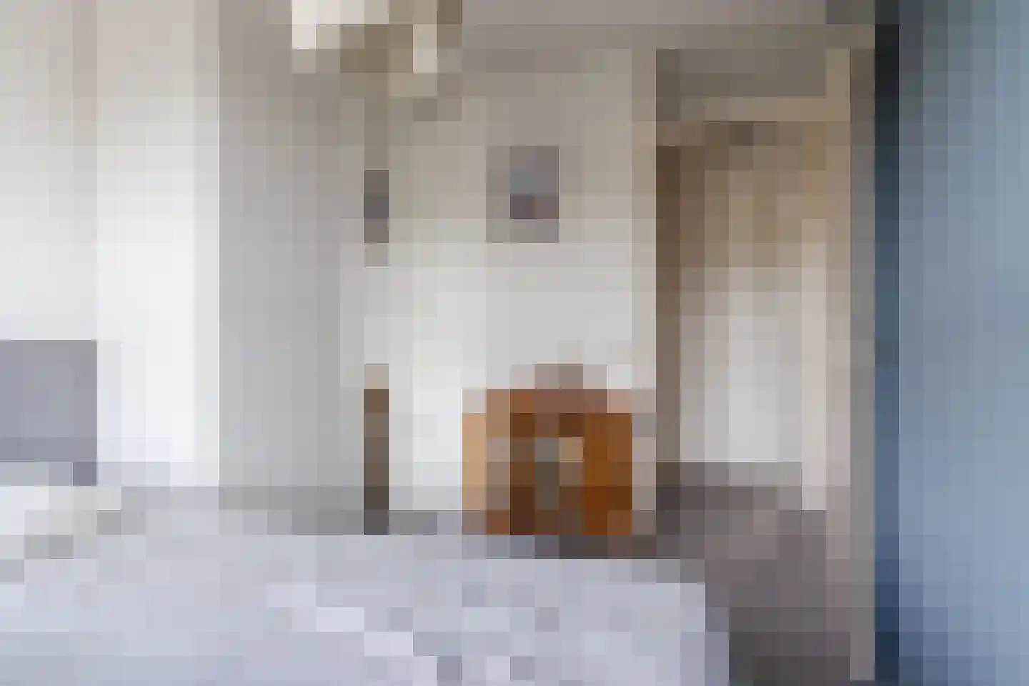 Aardaker 6 Tiel thumbnail 21