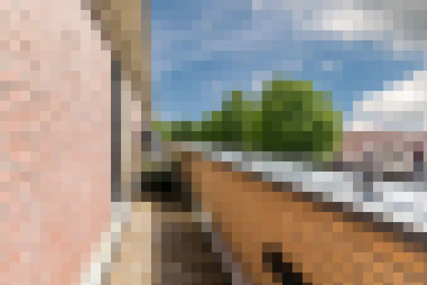 Aardaker 6 Tiel thumbnail 29