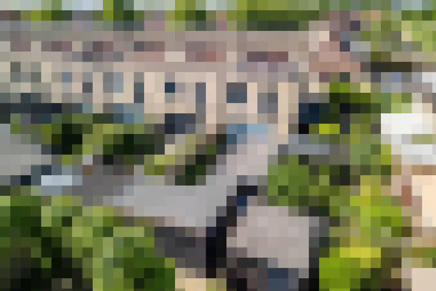 Aardaker 6 Tiel thumbnail 37