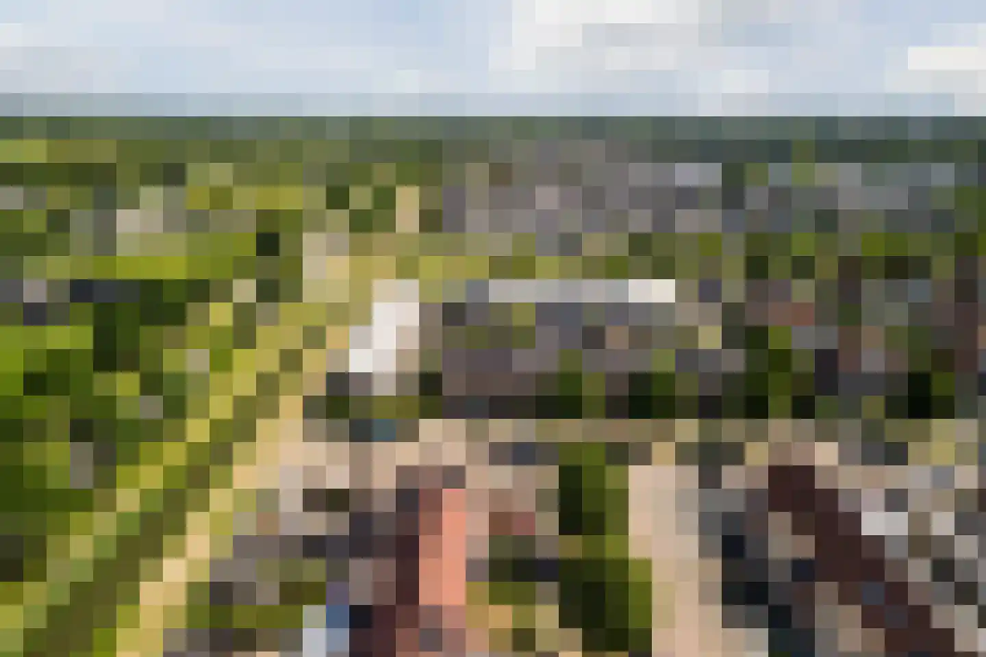 Aardaker 6 Tiel thumbnail 42