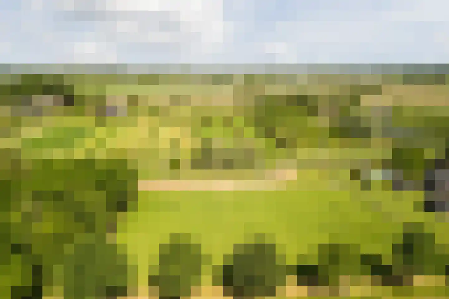 Aardaker 6 Tiel thumbnail 45