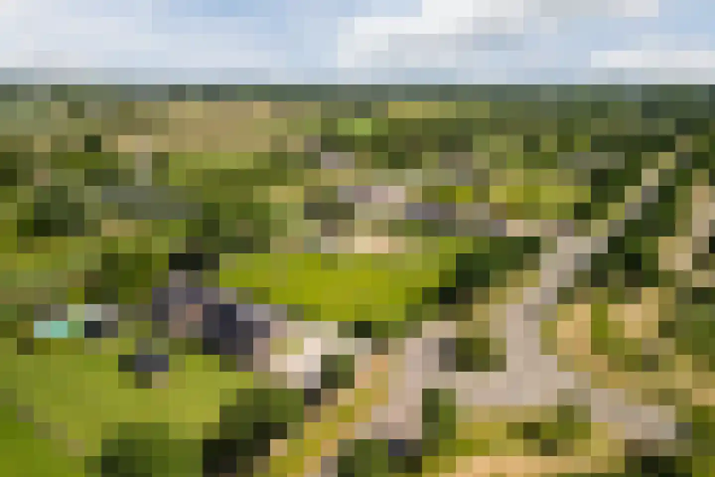 Aardaker 6 Tiel thumbnail 46