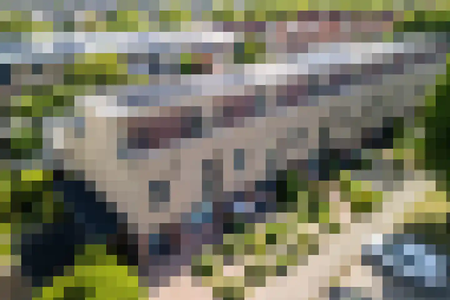 Aardaker 6 Tiel thumbnail 6
