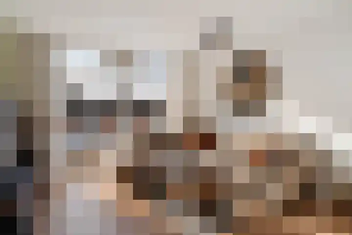 Aardappelakker 38 in Zoetermeer