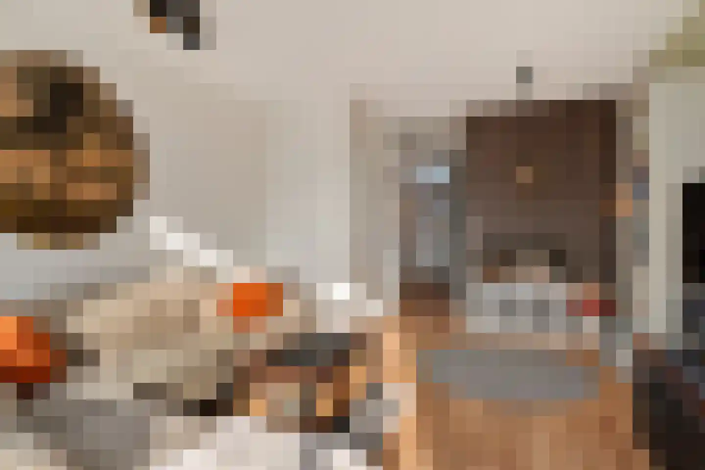 Aardappelakker 38 Zoetermeer thumbnail 14