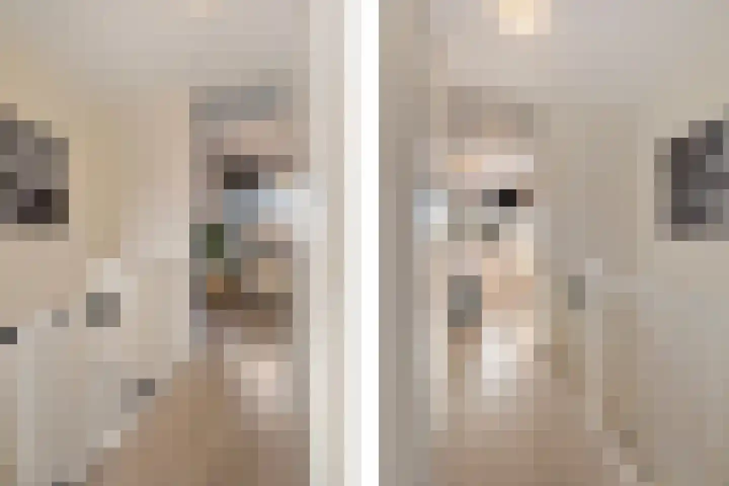Aardappelakker 38 Zoetermeer thumbnail 21