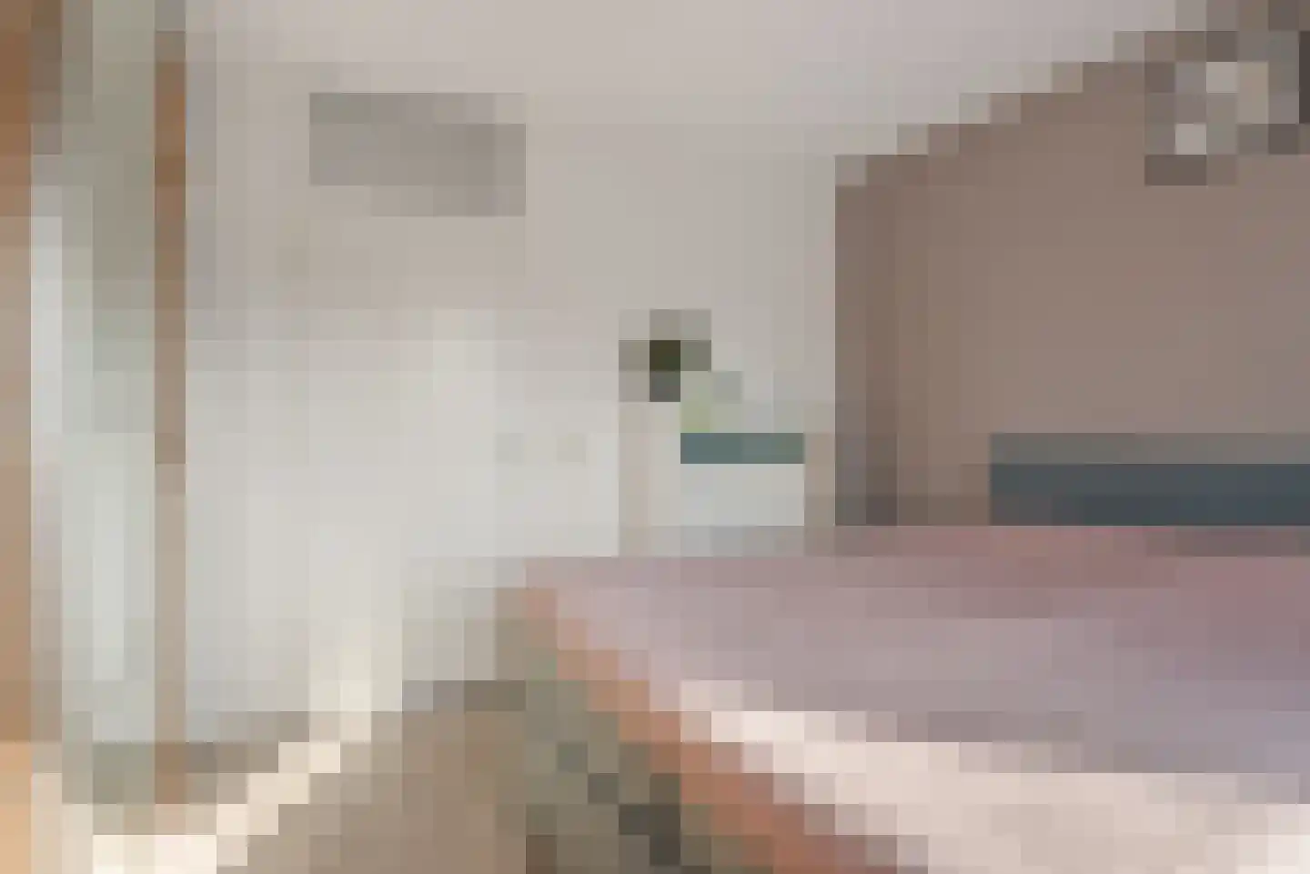 Aardappelakker 38 Zoetermeer thumbnail 24