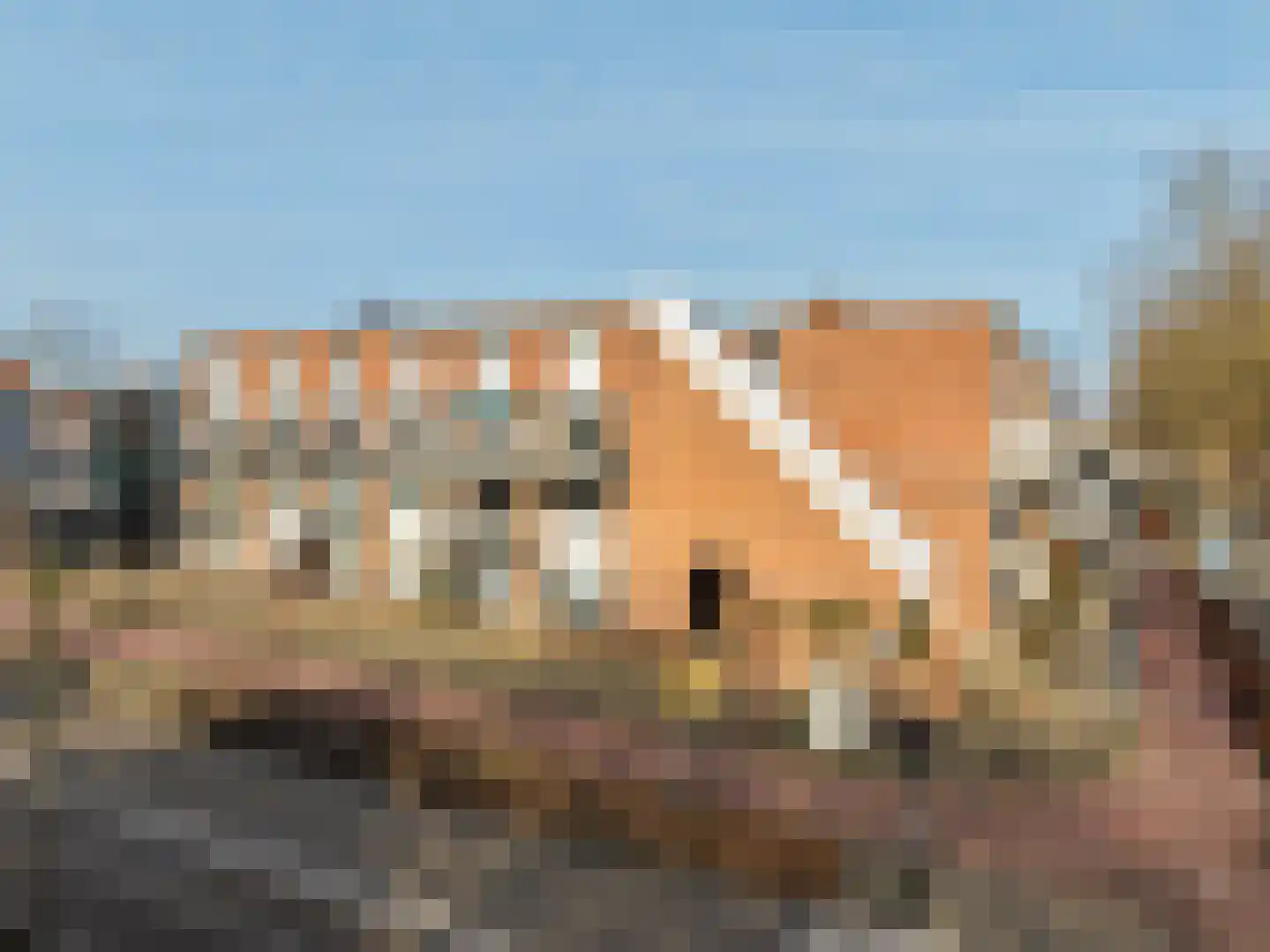 Aardappelakker 38 Zoetermeer thumbnail 4