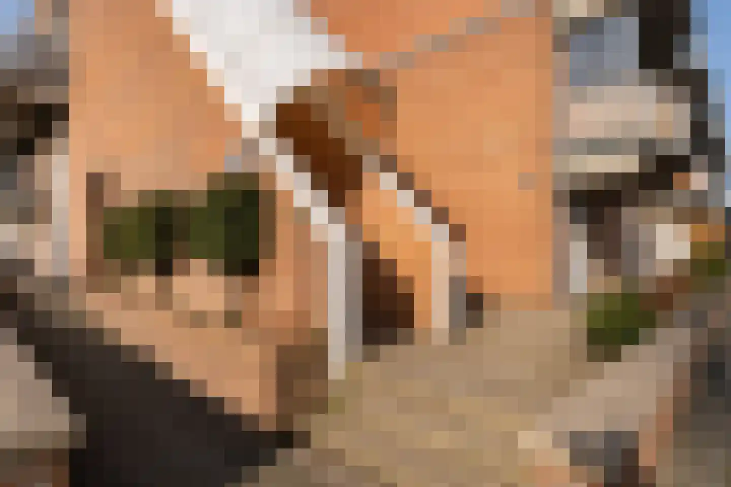 Aardappelakker 38 Zoetermeer thumbnail 8