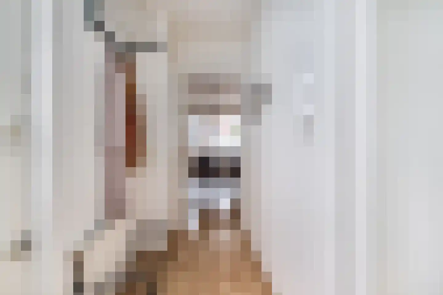 Aardappeleterssteegje 14 Nuenen thumbnail 14