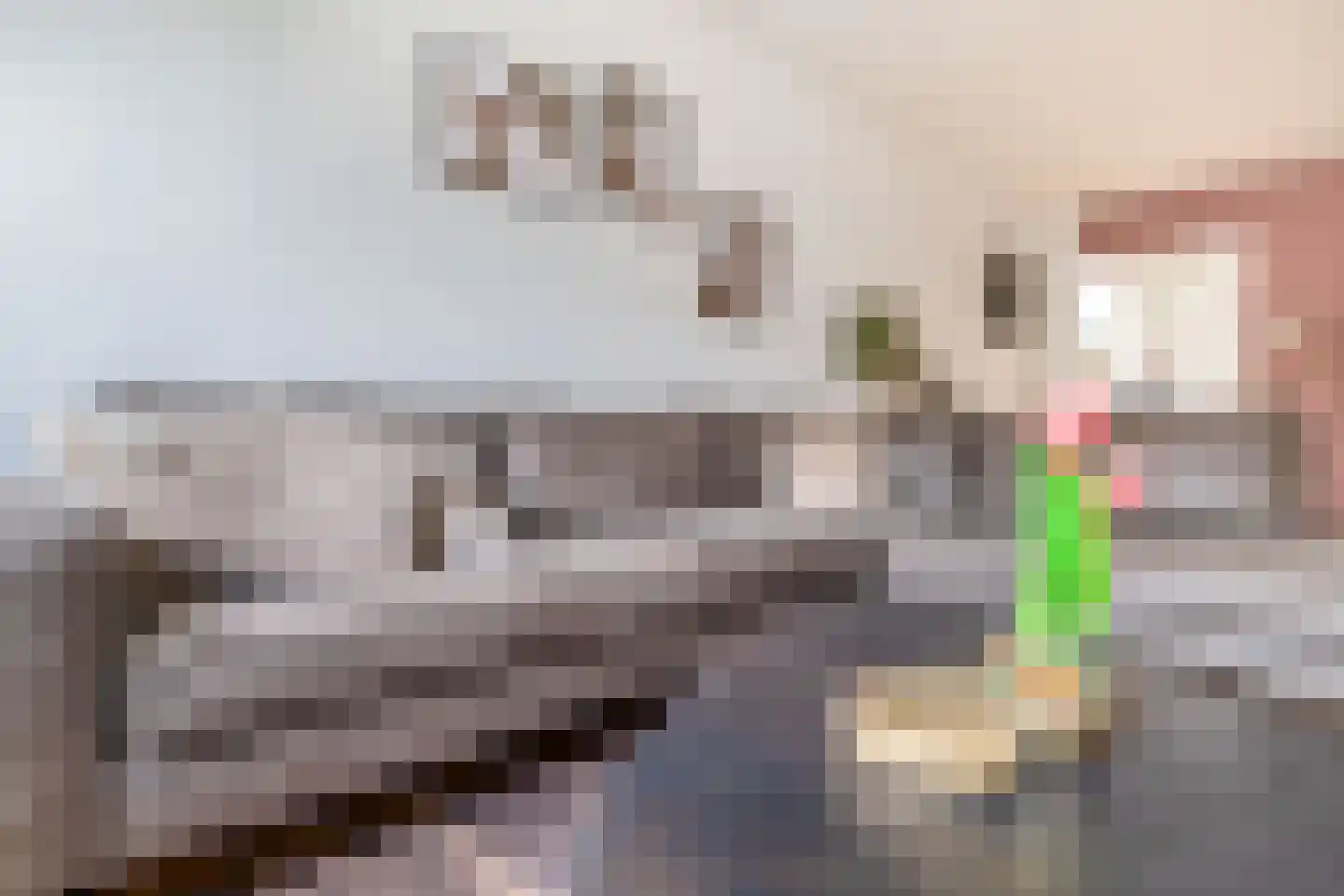 Aardappeleterssteegje 14 Nuenen thumbnail 21