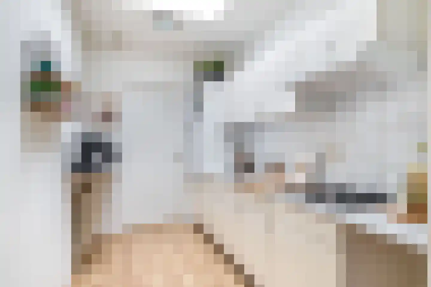 Aardappeleterssteegje 14 Nuenen thumbnail 30