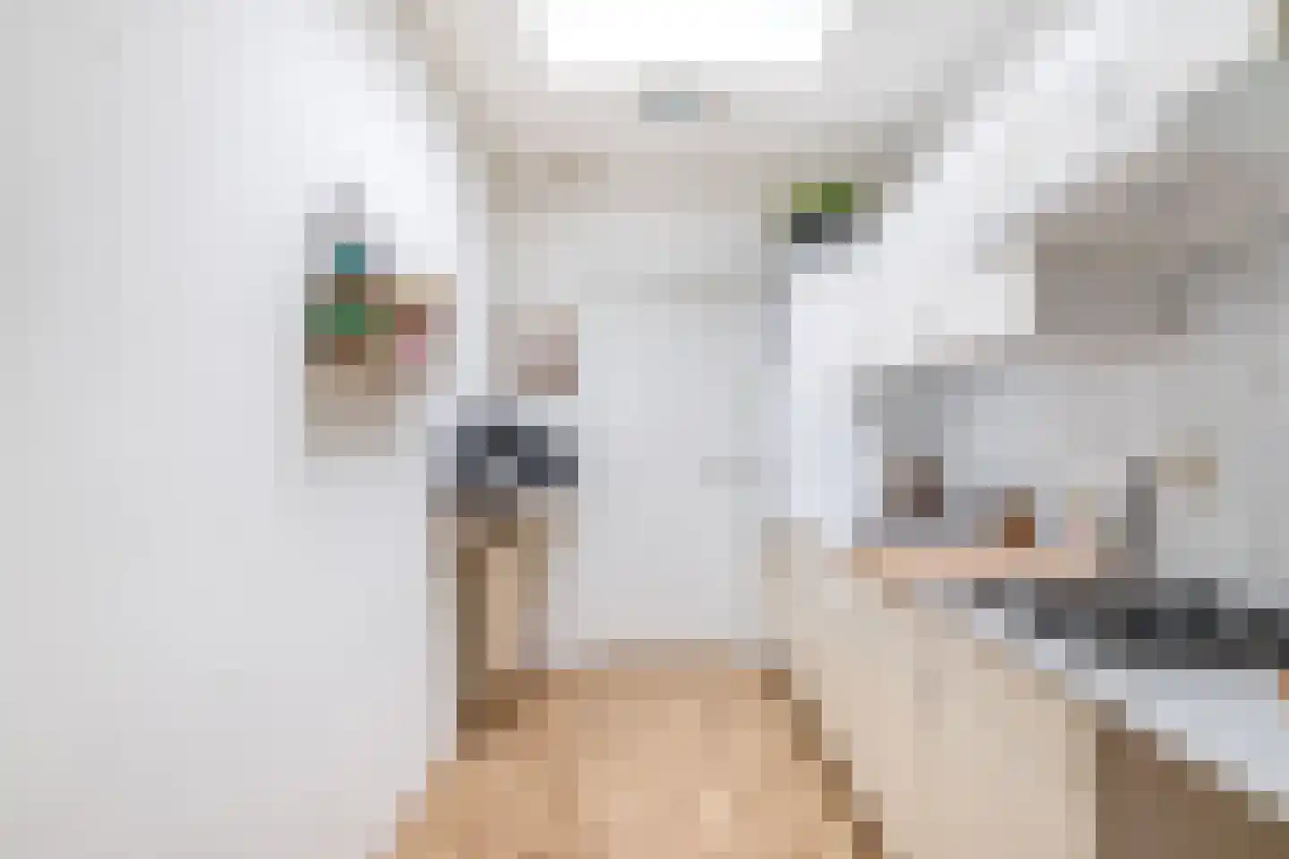 Aardappeleterssteegje 14 Nuenen thumbnail 32
