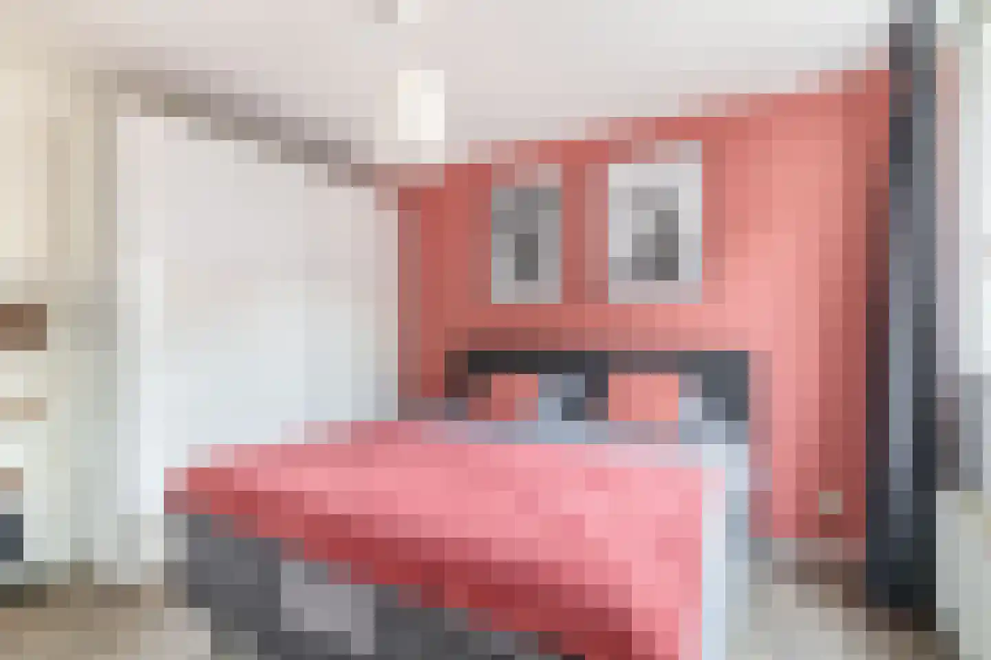 Aardappeleterssteegje 14 Nuenen thumbnail 35