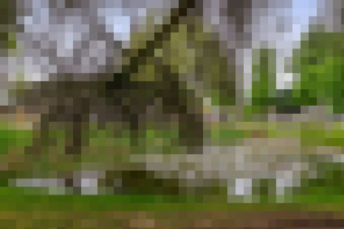 Aardappeleterssteegje 14 Nuenen thumbnail 42