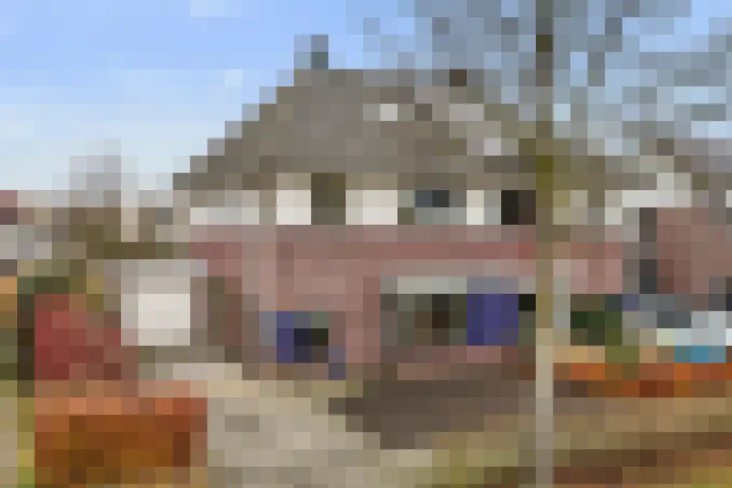 Aardappelland 3 Drachten