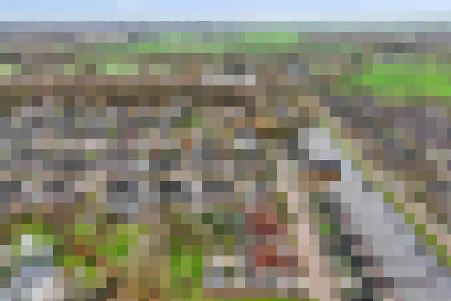 Aardappelland 3 Drachten thumbnail 41