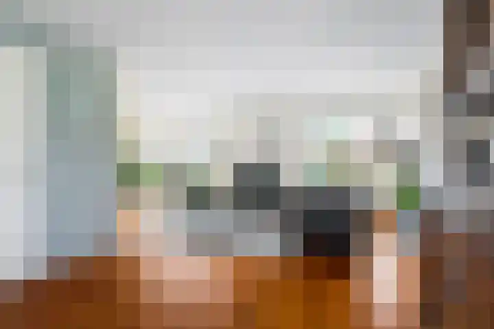 Aardappelland 35 Drachten thumbnail 11