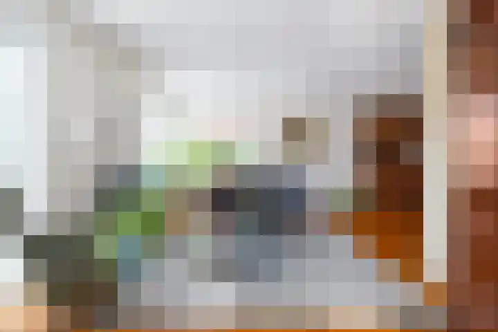Aardappelland 35 Drachten thumbnail 13
