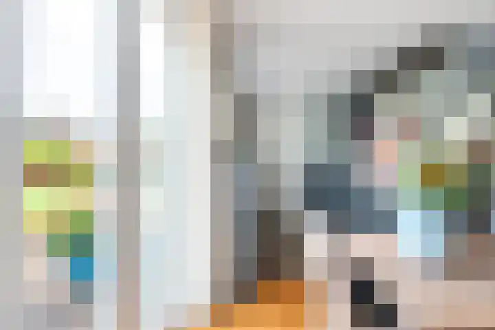 Aardappelland 35 Drachten thumbnail 17