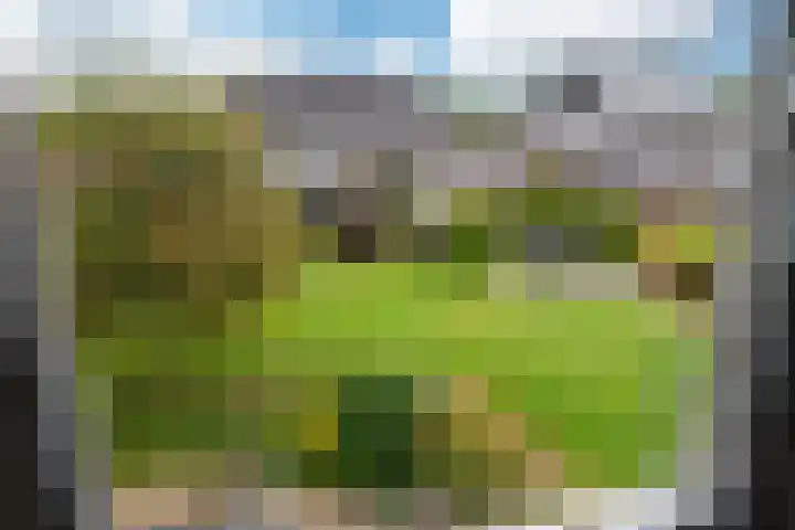 Aardappelland 35 Drachten thumbnail 30