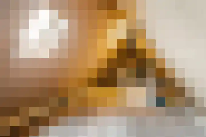 Aardappelland 35 Drachten thumbnail 33