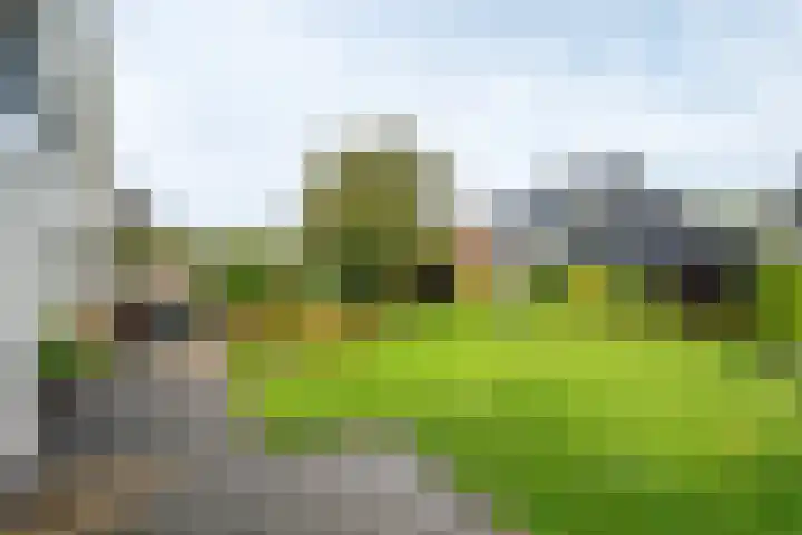 Aardappelland 35 Drachten thumbnail 35