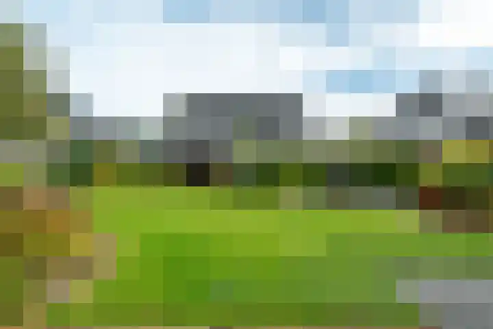 Aardappelland 35 Drachten thumbnail 37