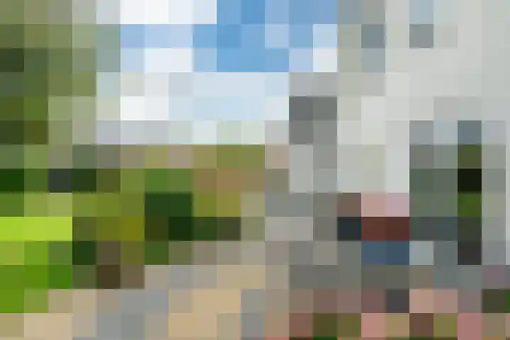 Aardappelland 35 Drachten thumbnail 38
