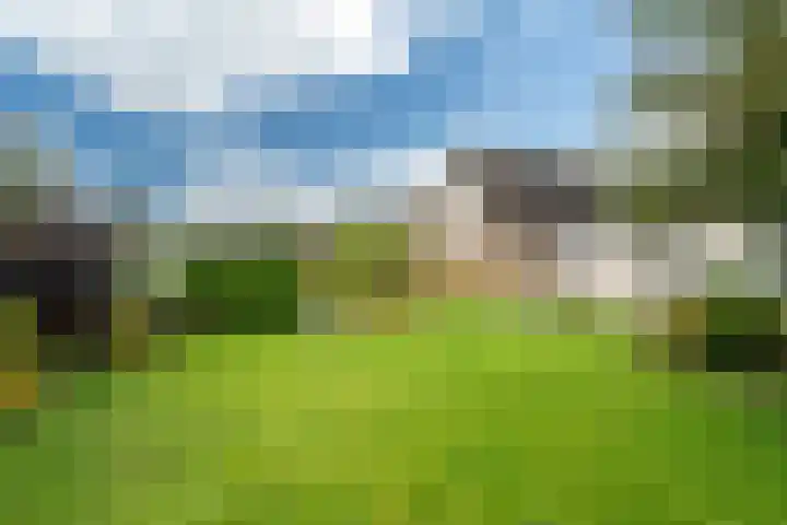 Aardappelland 35 Drachten thumbnail 39