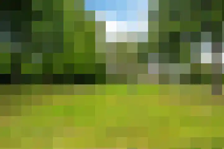 Aardappelland 35 Drachten thumbnail 40