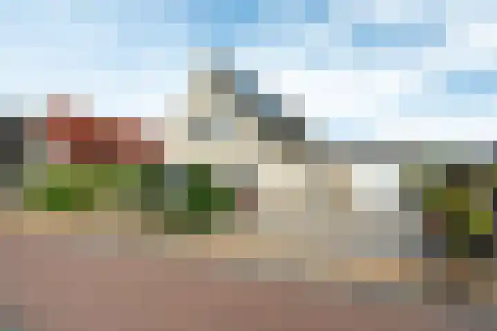 Aardappelland 35 Drachten thumbnail 41