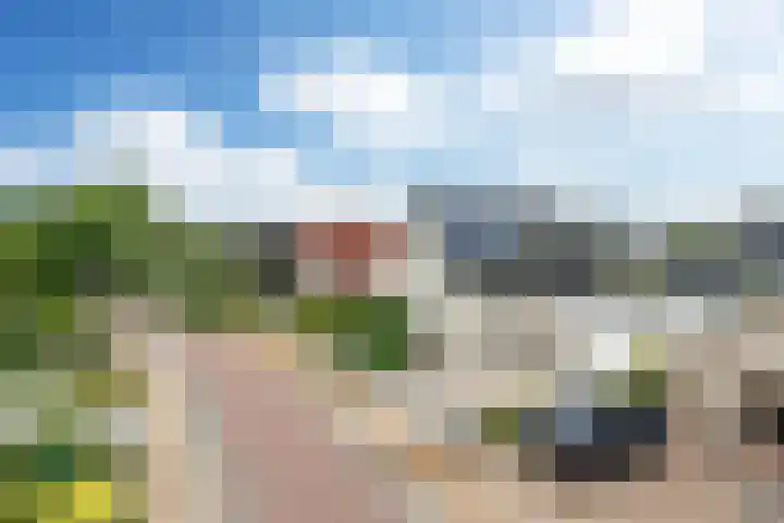 Aardappelland 35 Drachten thumbnail 42