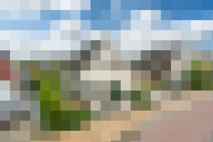Aardappelland 35 Drachten thumbnail 45