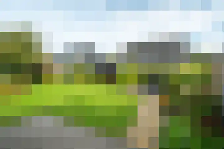 Aardappelland 35 Drachten thumbnail 5