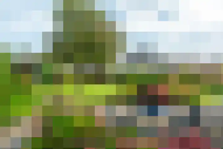 Aardappelland 35 Drachten thumbnail 6