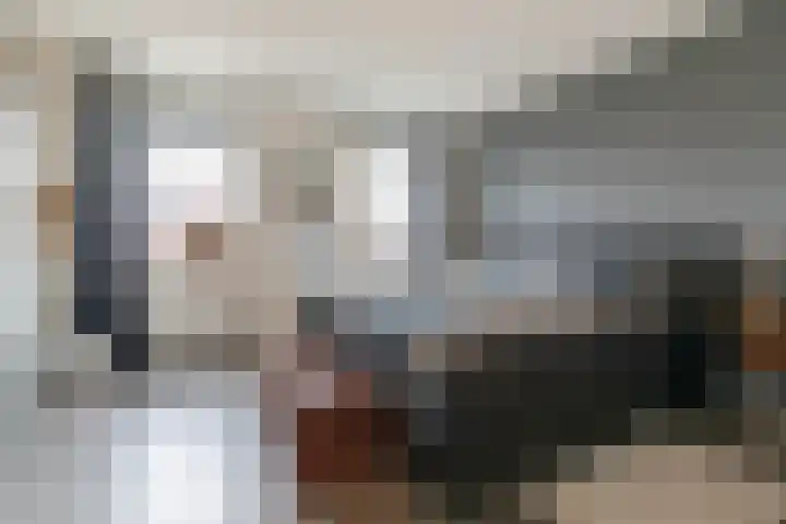 Aardbei 11 Nijkerk thumbnail 21