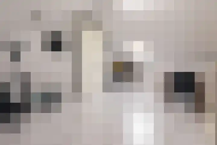 Aardbei 11 Nijkerk thumbnail 30