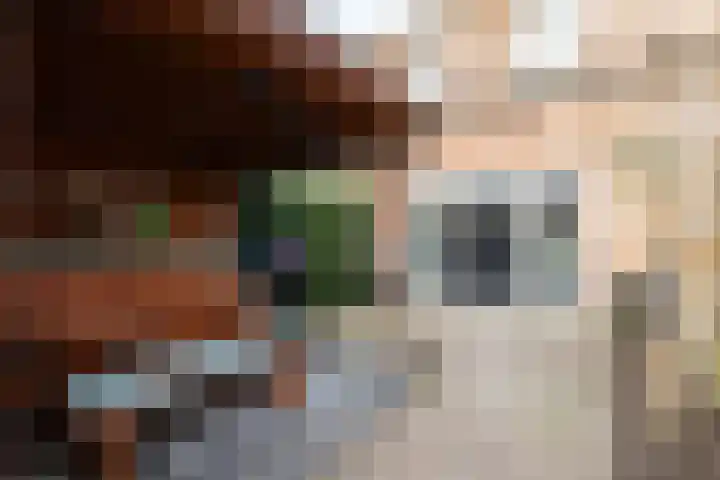 Aardbei 11 Nijkerk thumbnail 38