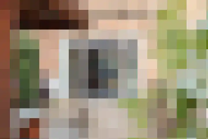 Aardbei 11 Nijkerk thumbnail 39
